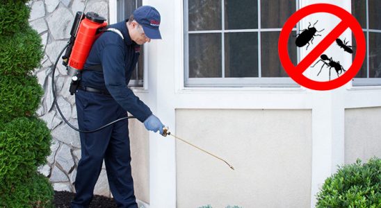 Dikili Tahtakurusu İlaçlama böcek ilaçlama ve haşere kontrolü — ilaclama-tr.com